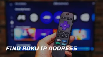 find roku ip address