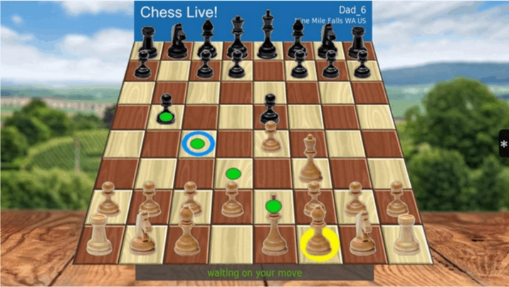 chess live game on roku