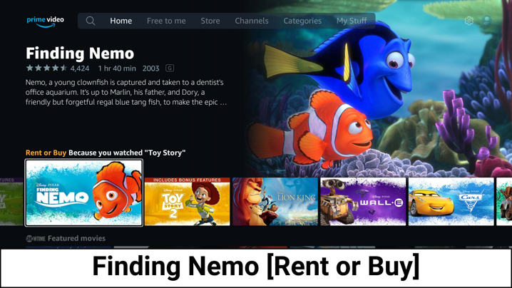 text banner accessibility feature in amazon fire tv stick